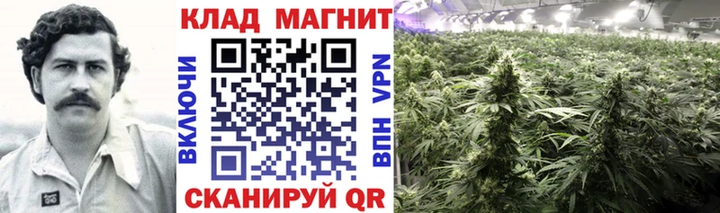 Где найти наркотики Западная Двина Вейп ТГК  МЕФ  Гашиш 