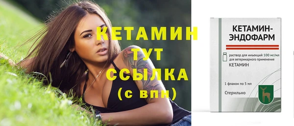 крисы Няндома