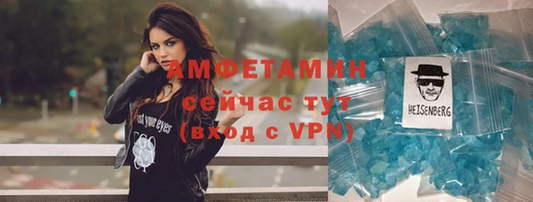 крисы Няндома