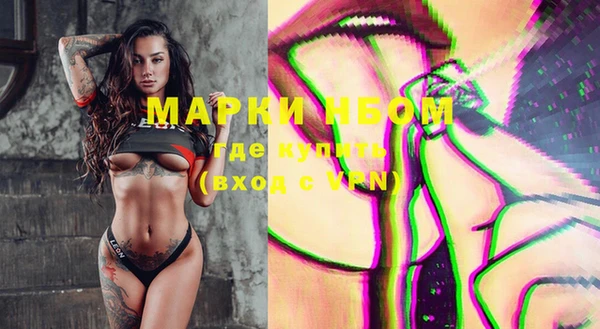 крисы Няндома