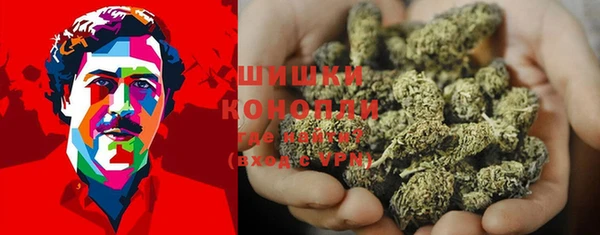 крисы Няндома