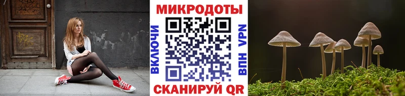 Галлюциногенные грибы мухоморы Западная Двина